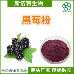 黑莓果粉 水溶性粉 SC供应 1KG起订