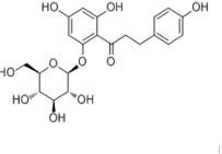 根皮苷7061-54-3