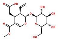 幼枝含斷氧化馬錢子苷58822-47-2