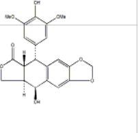 4'-去甲氧基表鬼臼毒素6559-91-7