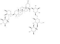 刺五加皂苷B114902-16-8