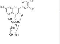 槲皮素-3-O-β-D-吡喃葡糖苷酸22688-79-5