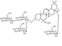 遼東楤木皂苷VII340982-22-1