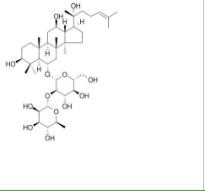 (R型)人參皂苷Rg280952-72-3