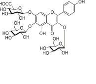 6-羥基山奈酚-3,6-O-二葡萄糖-7-O-葡萄糖醛酸苷補充中