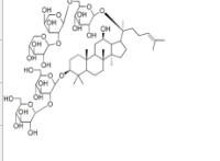 人參皂苷Ra283459-42-1