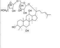 人參皂苷F5189513-26-6