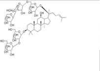 人參皂苷Ra3補(bǔ)充中