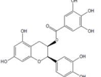 表兒茶素沒食子酸酯1257-08-5