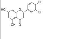 木犀草素491-70-3