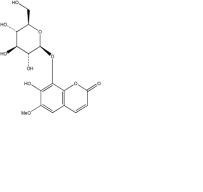 秦皮苷524-30-1