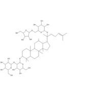 人參皂苷RC11021-14-0