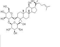 人參皂苷Rg311021-13-9