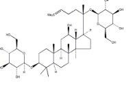 人參皂苷F262025-49-4