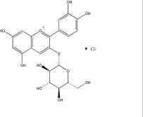 矢車菊素-3-O-葡萄糖苷7084-24-4