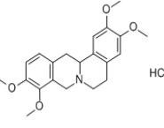 延胡索乙素6024-85-7