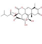 鴉膽子素A25514-31-2