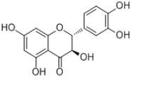 二氫槲皮素、花旗松素480-18-2