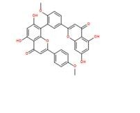 異銀杏雙黃酮548-19-6