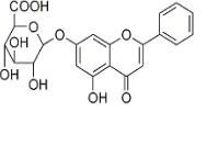 白楊素-7-O-葡萄糖醛酸苷補(bǔ)充中