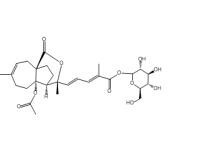 土槿皮甲酸-葡萄糖苷補(bǔ)充中