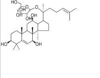 人參皂苷Rh7343780-68-7