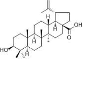 白樺脂酸472-15-1