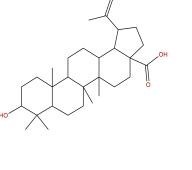 表白樺脂酸38736-77-5