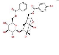 苯甲酰氧化芍藥苷72896-40-3