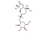 蒼術(shù)苷A126054-77-1