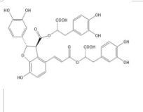 丹酚酸B、丹參酸B、丹參酸乙、紫草酸B121521-90-2