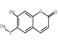 東莨菪內(nèi)酯、莨菪亭、7-羥基-6-甲氧基香豆素92-61-5