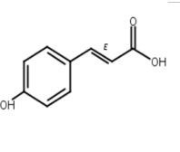 對香豆酸、4-香豆酸501-98-4