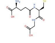 L-谷胱甘肽70-18-8