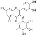 槲皮苷522-12-3