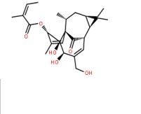 巨大戟醇-3-O-當(dāng)歸酸酯75567-37-2