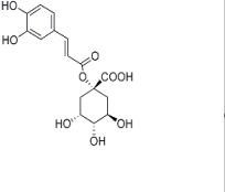 1-咖啡酰奎寧酸1241-87-8
