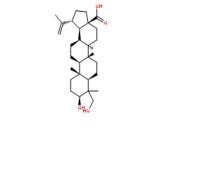 23-羥基白樺酸85999-40-2