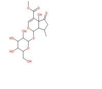 5-羥基馬鞭草苷50816-24-5