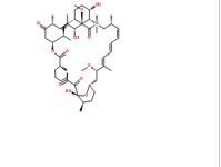 雷帕霉素53123-88-9