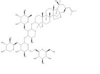 酸棗仁皂苷A55466-04-1