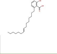 銀杏酸GA15：122910-60-7
