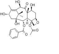 10-脫乙酰巴卡亭32981-86-5