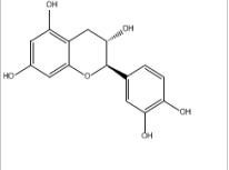 (+)-兒茶素225937-10-0