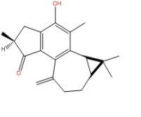 麻楓樹酚酮B71386-38-4