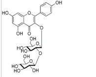 山奈酚-3-O-槐糖苷19895-95-5