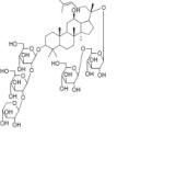 三七皂苷Fa88100-04-3