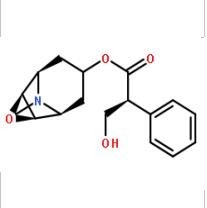 東莨菪堿51-34-3