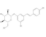虎杖苷27208-80-6