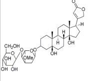 杠柳毒苷13137-64-9